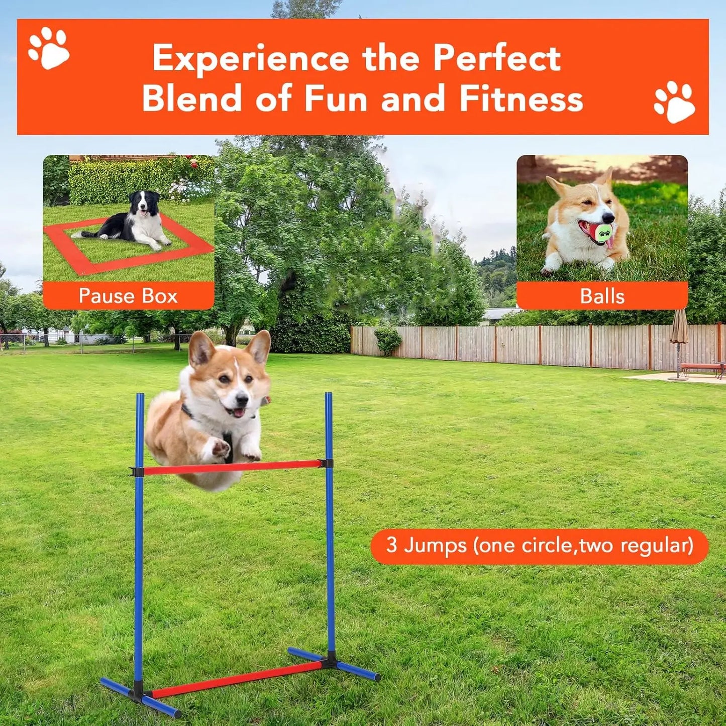 87 Pcs Dog Agile Training Course Kit