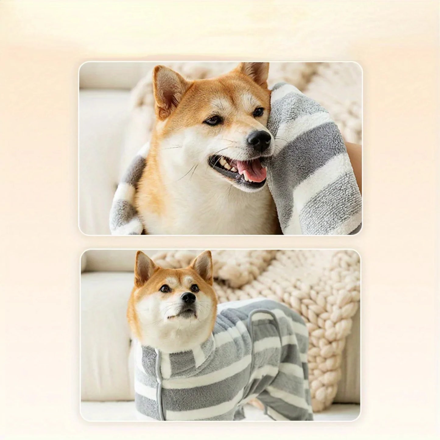 Bathrobe for a Dog
