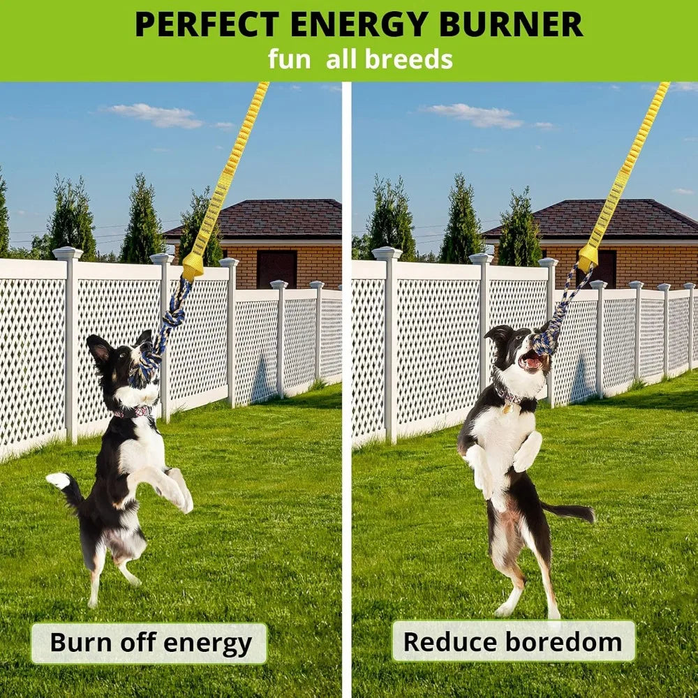 Dog Bungee Tug Toy