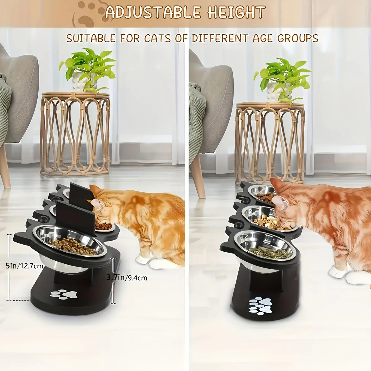 Raised Elevated Cat Bowls with 15° Tilted