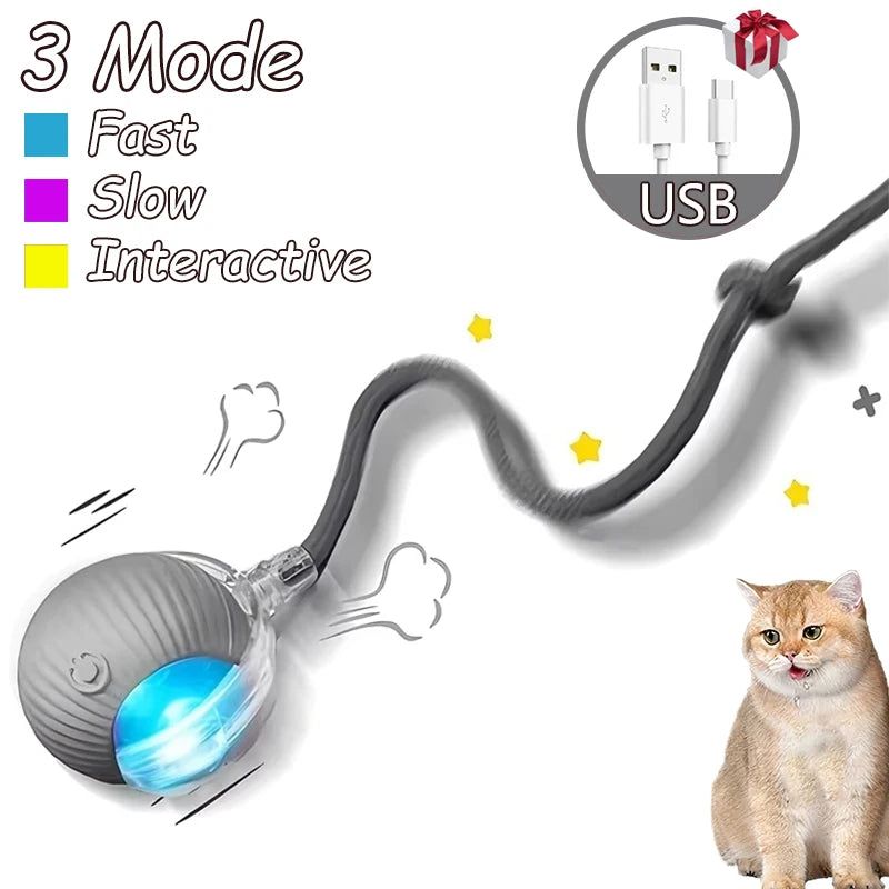 Interactive Rolling Ball Toys for Cats
