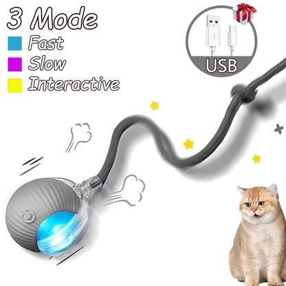 Interactive Rolling Ball Toys for Cats