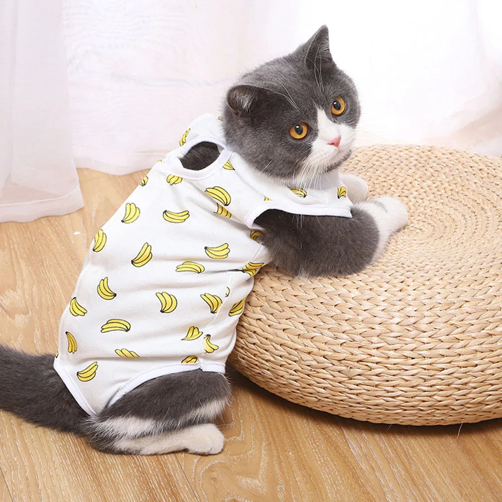 Cat Recovery Suit/Pajamas