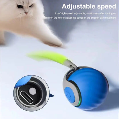 Electronic Moving Ball Toy Ball