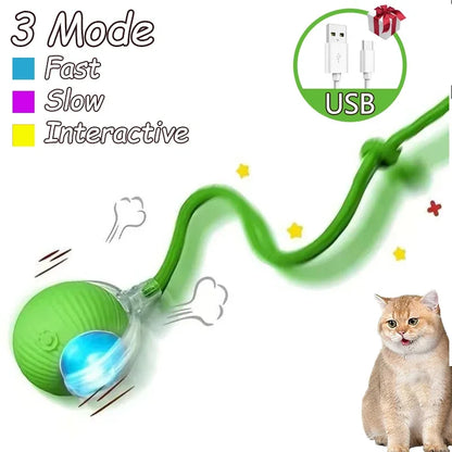 Interactive Rolling Ball Toys for Cats