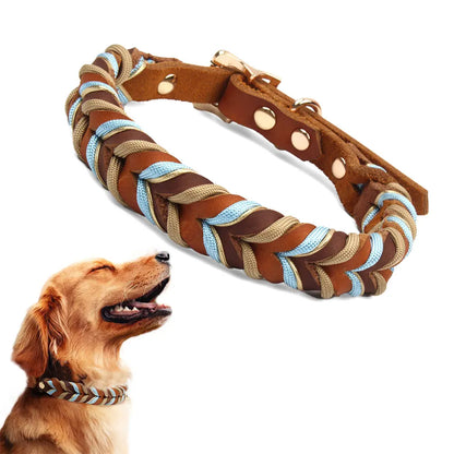 Braided Sky Blue Nylon Rope/Leather Pattern Collar