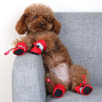Walking Shoes For Dogs
