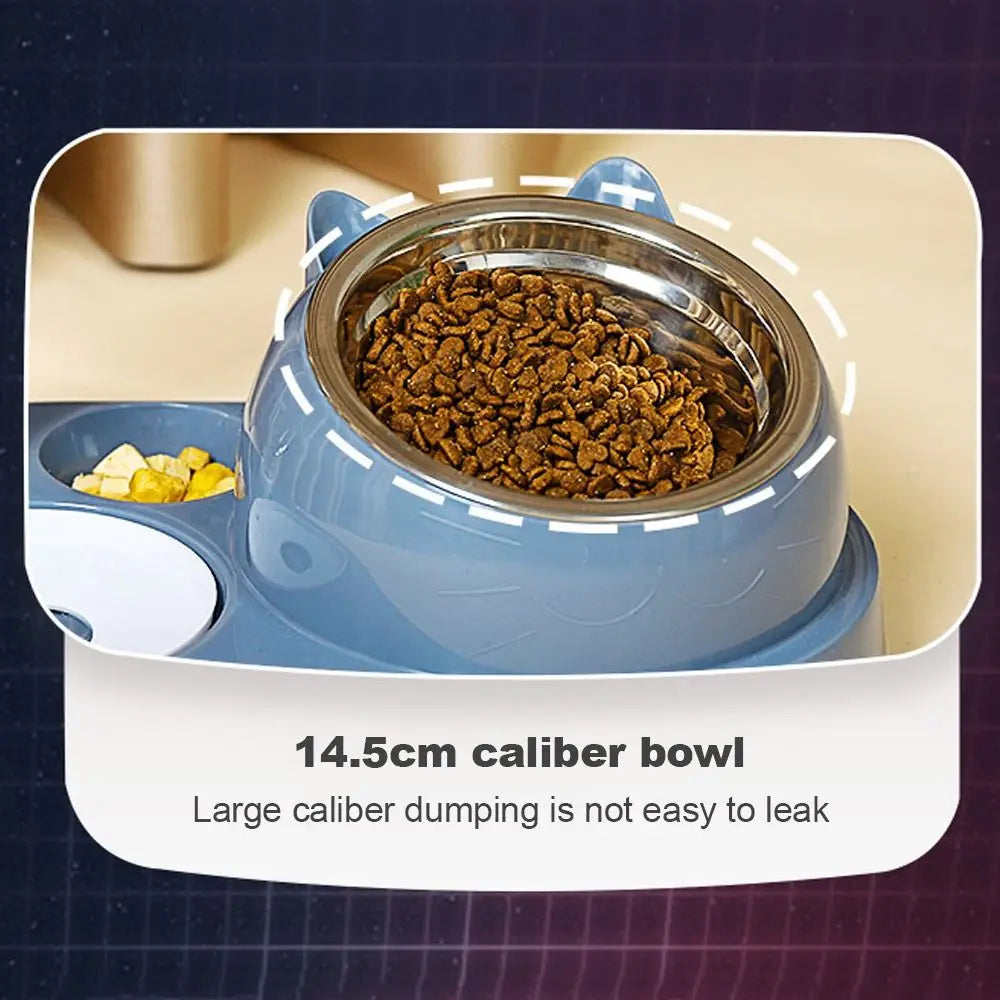 2-in-1 Automatic Cat Feeder