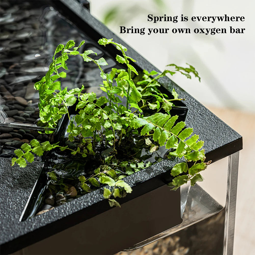 Desktop Fish Tank for Shrimp Small Fish Guppy