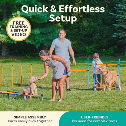 Backyard Agility Course for Dogs
