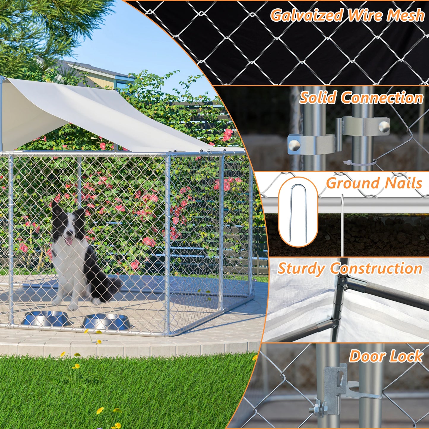 Large Outdoor Dog Kennel