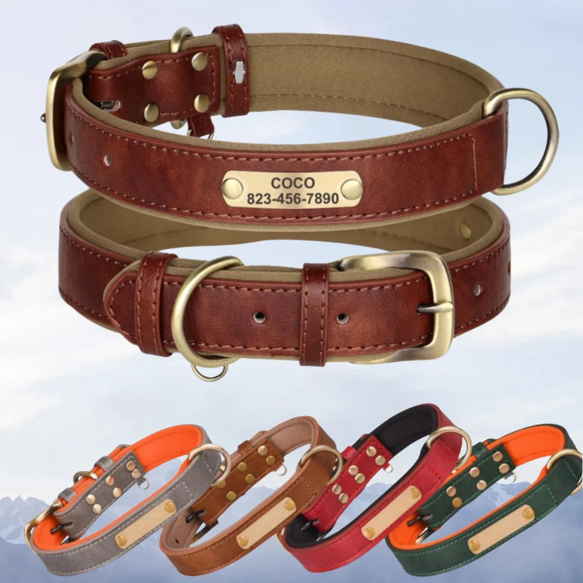 Personalized Leather Custom Dog Collar