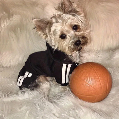 Black 4-Legged Dog Hoodie