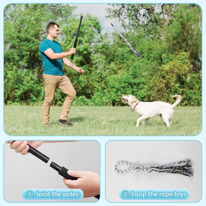 Teaser Wand for Small Medium Dogs