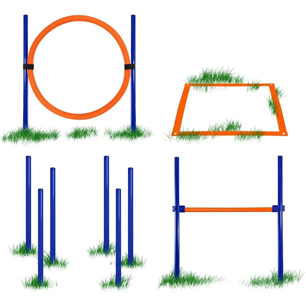 Agility Training Equipment for Dogs