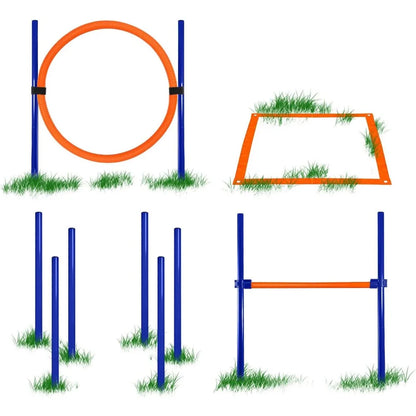 Agility Training Equipment for Dogs