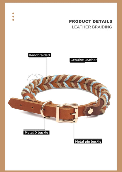 Braided Sky Blue Nylon Rope/Leather Pattern Collar