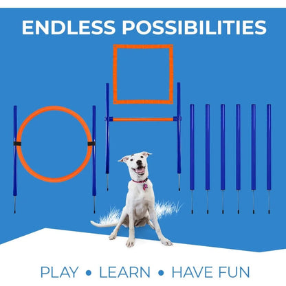 Agility Training Equipment for Dogs