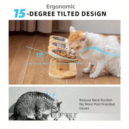 Raised Food Bowl with 15-Degree Tilt