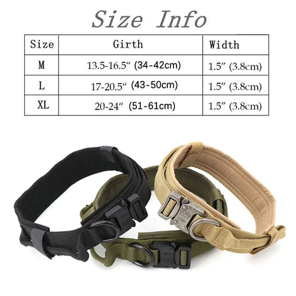 Collar for Large Dog