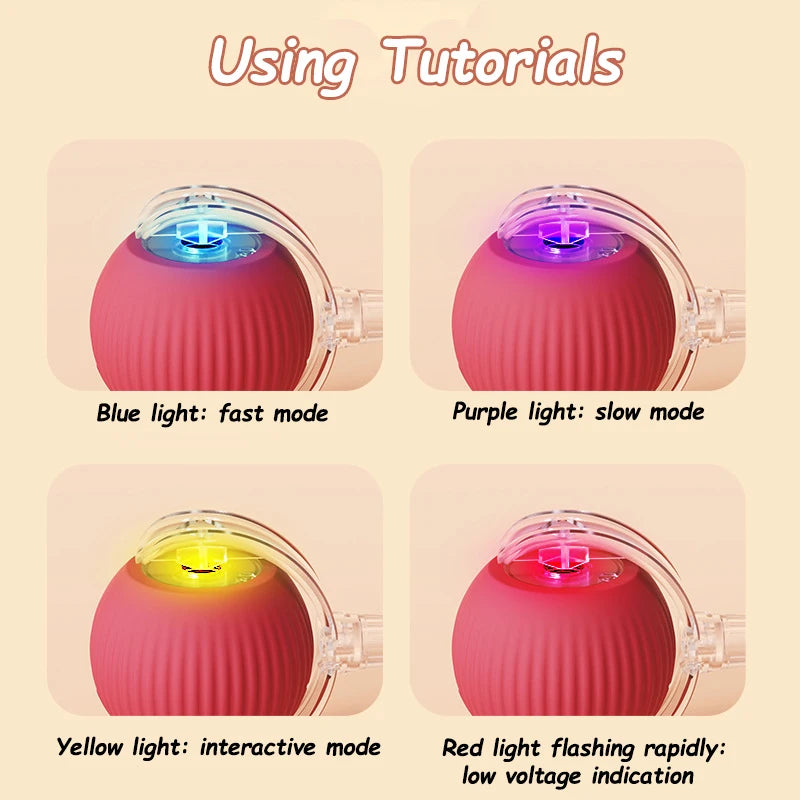 Interactive Rolling Ball Toys for Cats