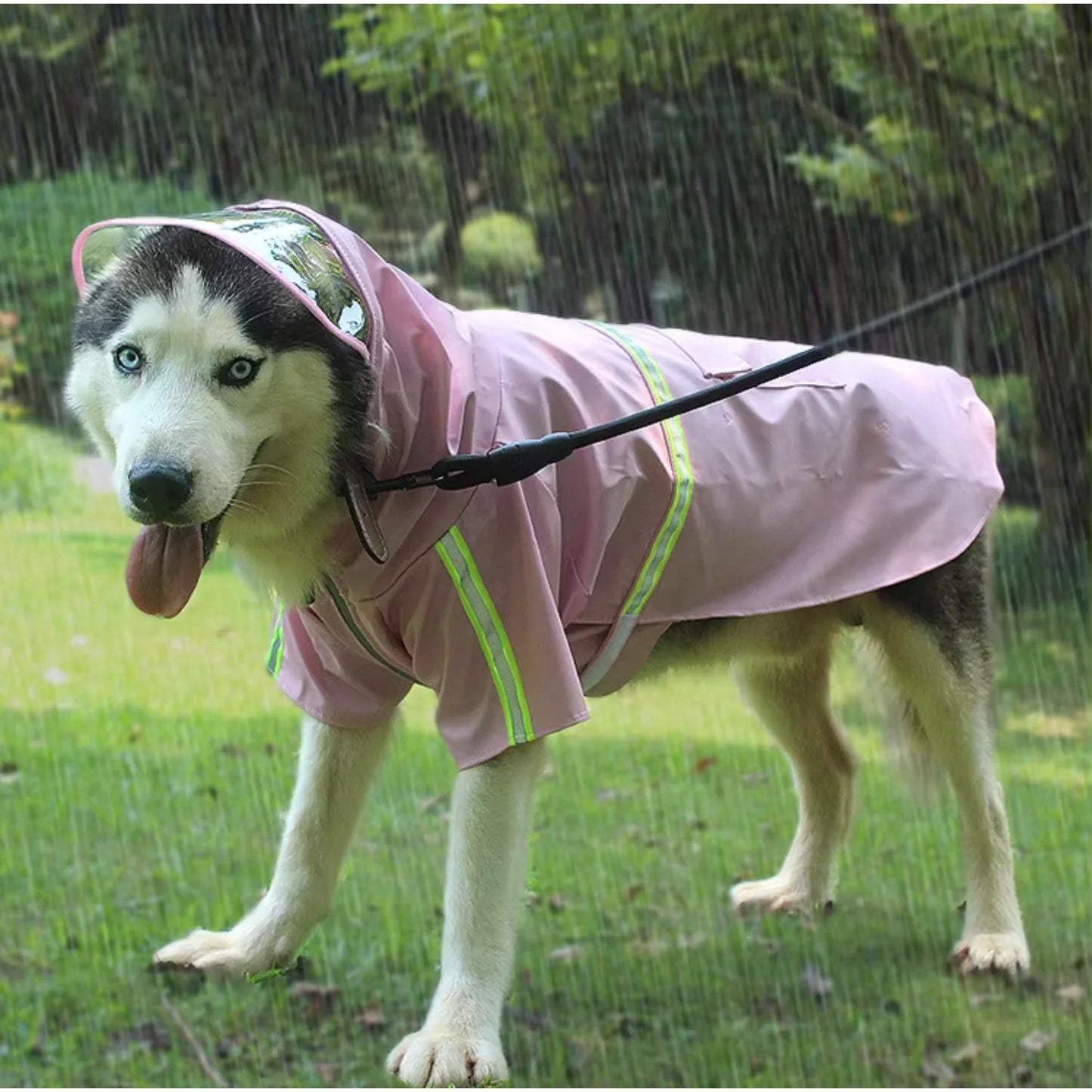 Large Dog Waterproof Hoodies