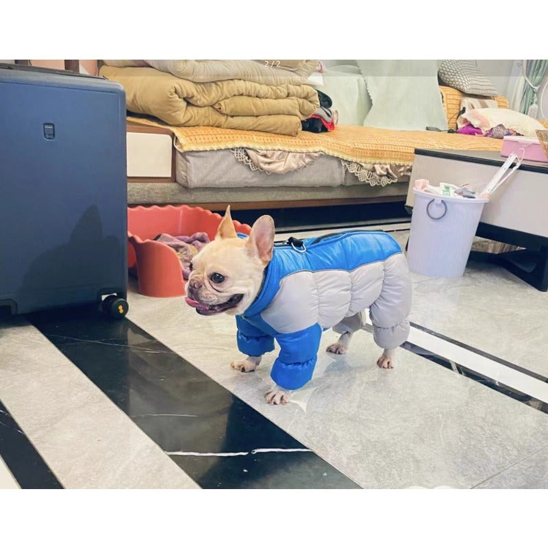 Dog Jacket with Hood-Like Turtleneck & Full-Leg Coverage