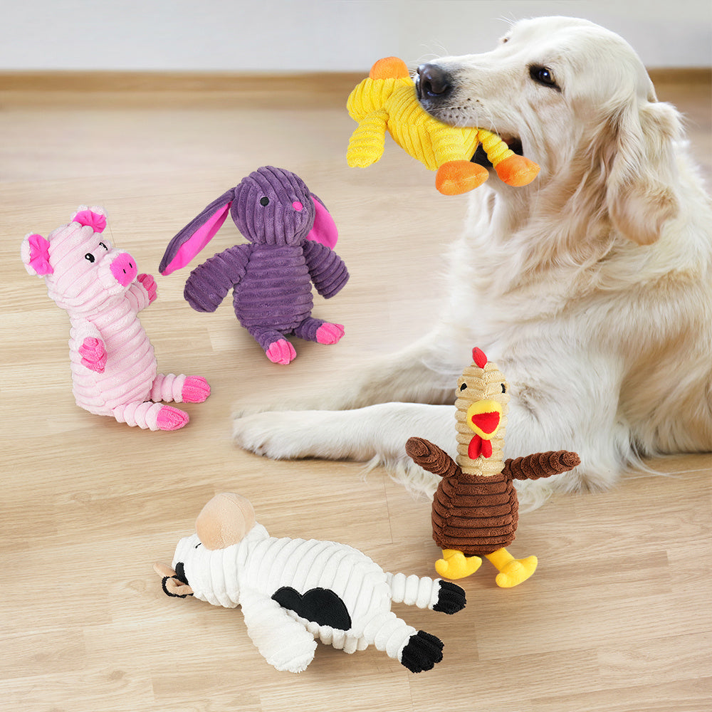 5 Pack of Plush Dog Squeaky Toys