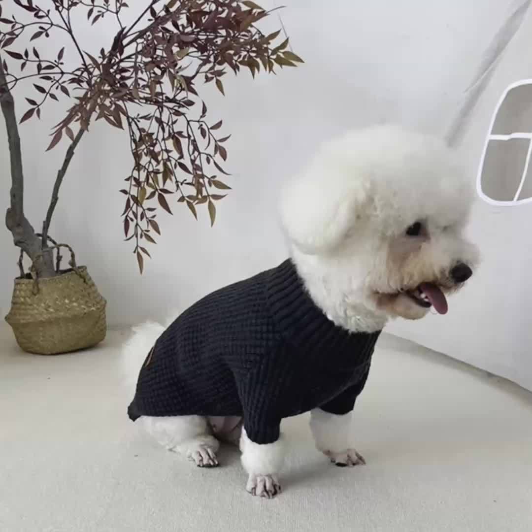 Knit Winter Coat for Dogs